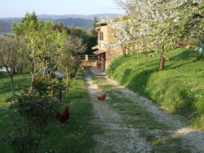 Podere La Vigna Locazione Turistica Orvieto